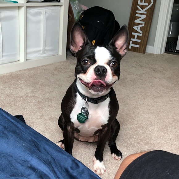 Meet your Posher, Laura - Picture 2 of 3